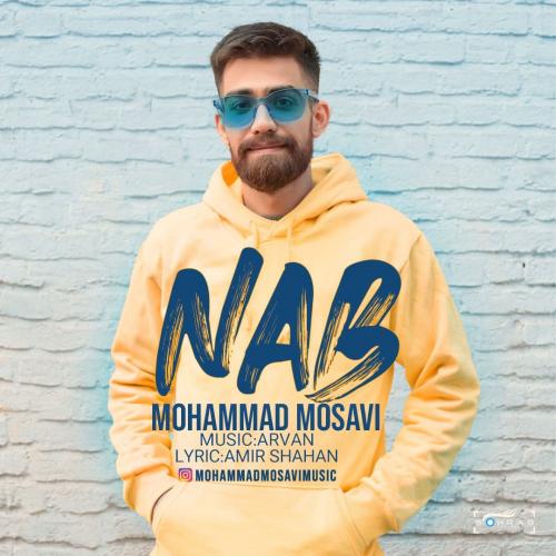 محمد موسوی ناب
